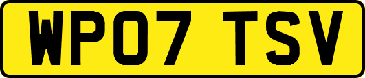 WP07TSV