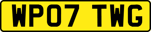 WP07TWG