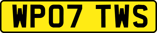 WP07TWS