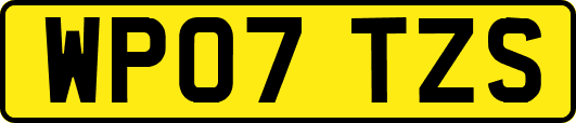WP07TZS