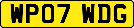 WP07WDG