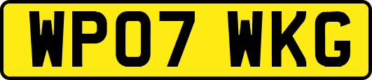 WP07WKG