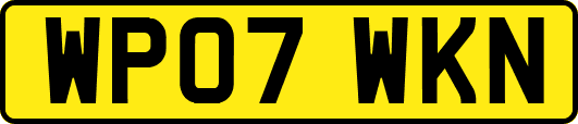 WP07WKN