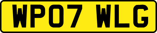 WP07WLG