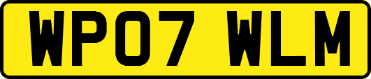 WP07WLM