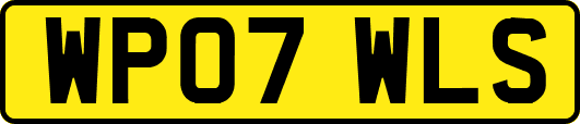 WP07WLS