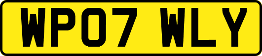 WP07WLY