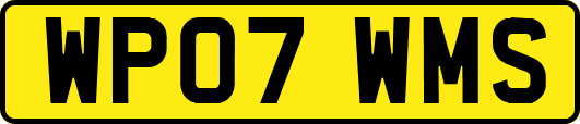 WP07WMS