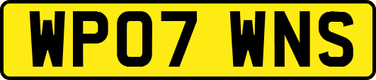 WP07WNS