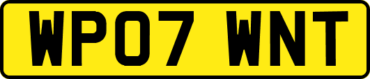 WP07WNT