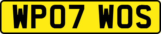WP07WOS