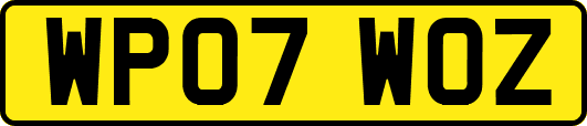 WP07WOZ