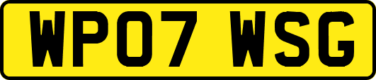 WP07WSG