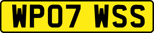WP07WSS
