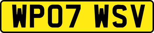 WP07WSV