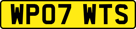 WP07WTS