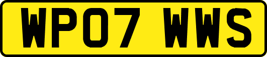 WP07WWS