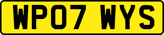 WP07WYS
