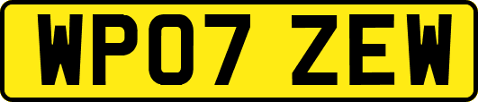 WP07ZEW