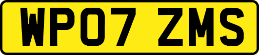 WP07ZMS