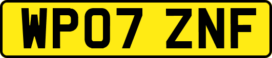WP07ZNF