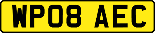 WP08AEC