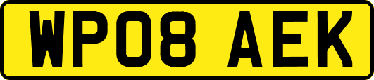 WP08AEK