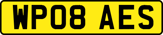 WP08AES