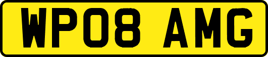WP08AMG