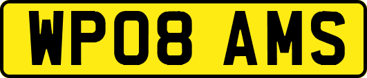 WP08AMS