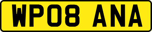 WP08ANA