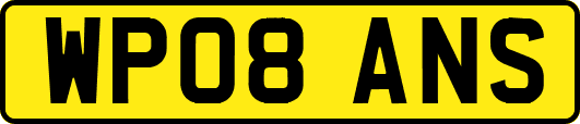 WP08ANS