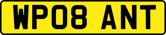 WP08ANT
