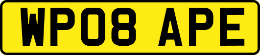 WP08APE