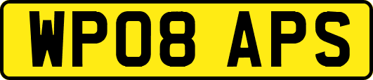 WP08APS