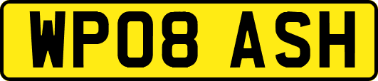 WP08ASH