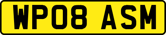 WP08ASM
