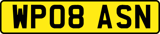 WP08ASN