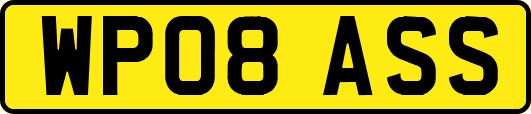 WP08ASS