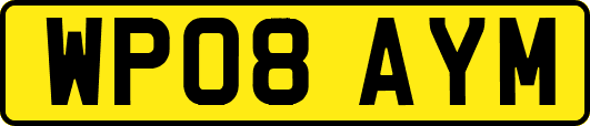 WP08AYM