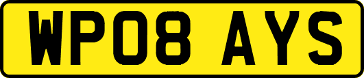 WP08AYS