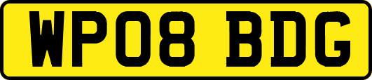 WP08BDG