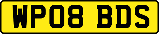 WP08BDS