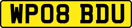 WP08BDU