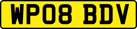 WP08BDV