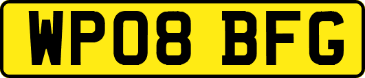 WP08BFG