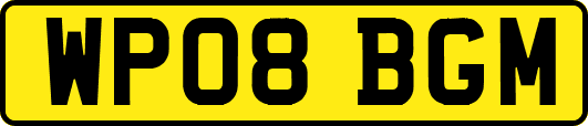 WP08BGM