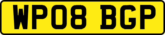 WP08BGP