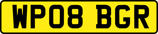 WP08BGR