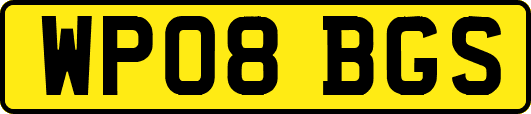 WP08BGS